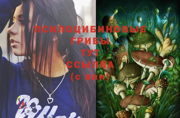 герыч Алексеевка