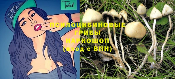 крисы Алзамай