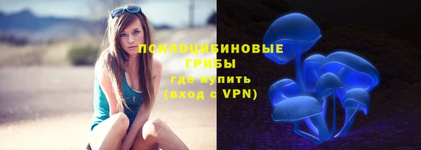 MDMA Тайга