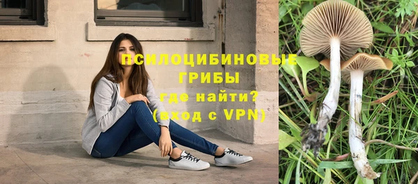 крисы Алзамай