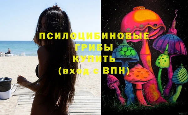 крисы Алзамай