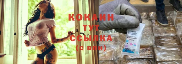 ГАЛЛЮЦИНОГЕННЫЕ ГРИБЫ Сясьстрой