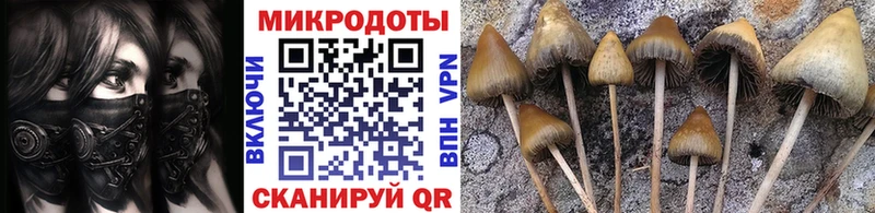 Галлюциногенные грибы прущие грибы  купить наркоту  Вологда 